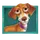 Dachshund